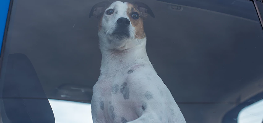 Car Lockout Solutions in South Gate, California