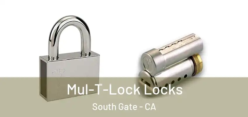  Mul-T-Lock Locks South Gate - CA